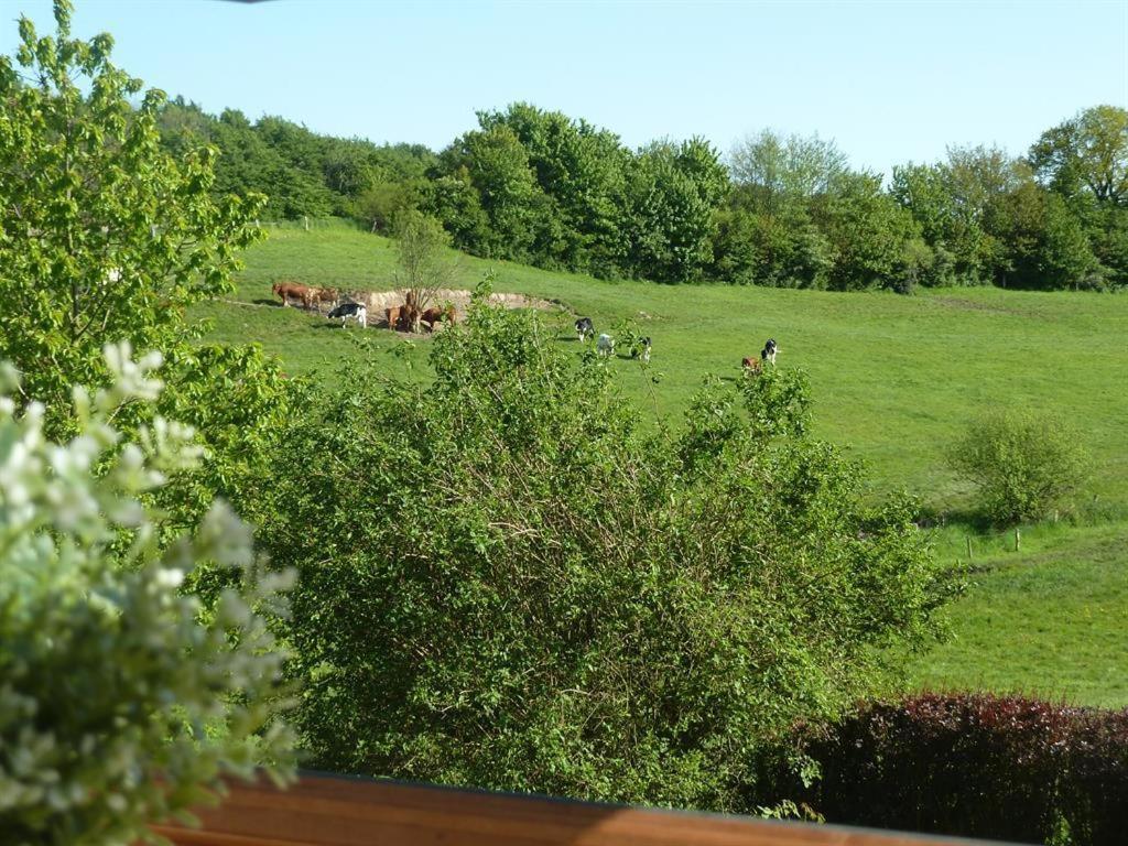 Ferienhof Jepsen Westerholz Cameră foto