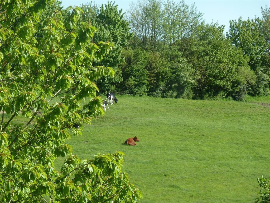 Ferienhof Jepsen Westerholz Cameră foto